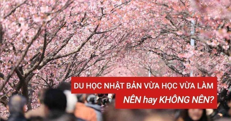 Du hoc Nhat Ban vua hoc vua lam co nen khong?