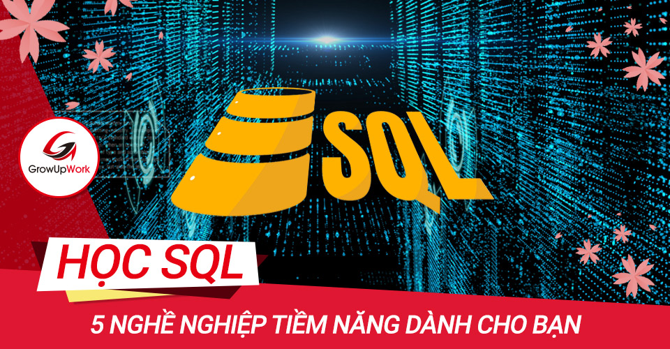 5 nghề nghiệp tiềm năng dành cho người học SQL