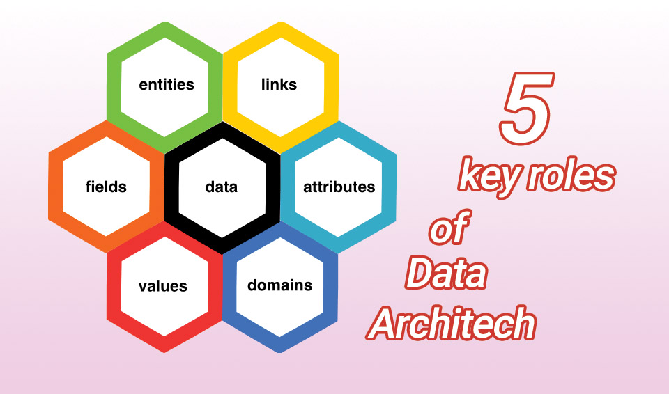 Những vai trò và chức năng của người làm Data Architech