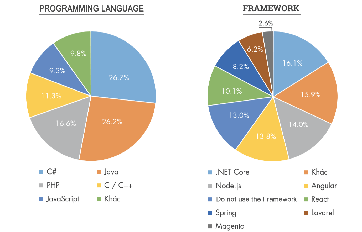 Vietnamworkからの報告データ_Programing_Frameworks