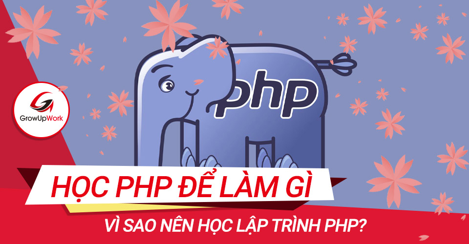 Lý do vì sao nên học lập trình PHP?