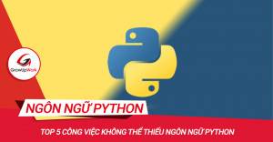 Top 5 công việc không thể thiếu ngôn ngữ Python
