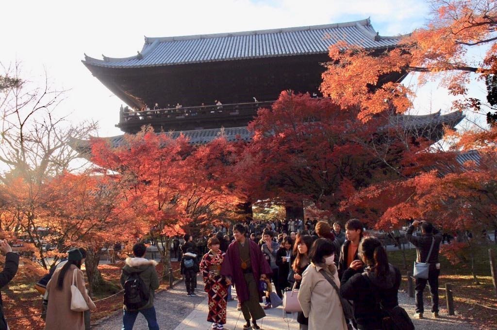Người Nhật mặc Kimono xuống đường ngắm lá đỏ (Kyoto)